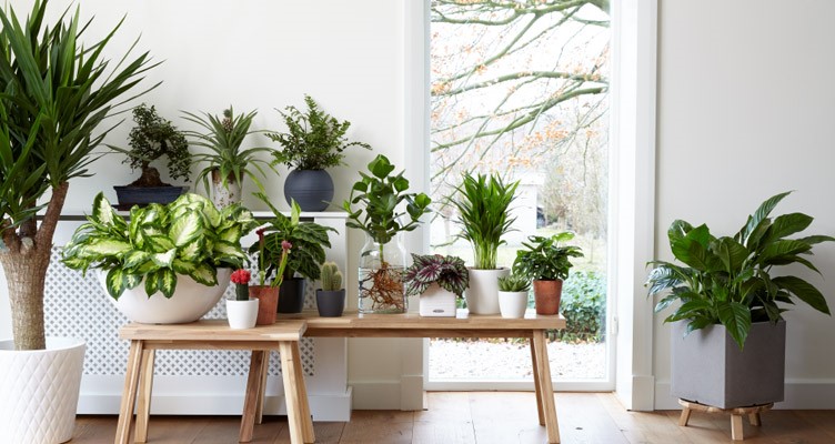 10 Ways to Make a New House Feel Like Home